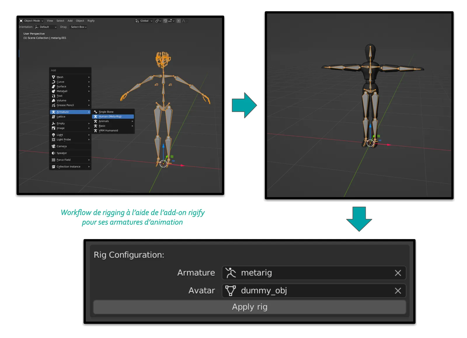 Workflow de rigging à l'aide du greffon Rigify, en 3 étapes.